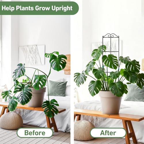 Image of 31.8'' Stackable Plant Trellis Indoor, Metal Trellis for Climbing Plants Indoor, House Plant Support with Soft Ties for Monstera Hoya Pothos, 4P