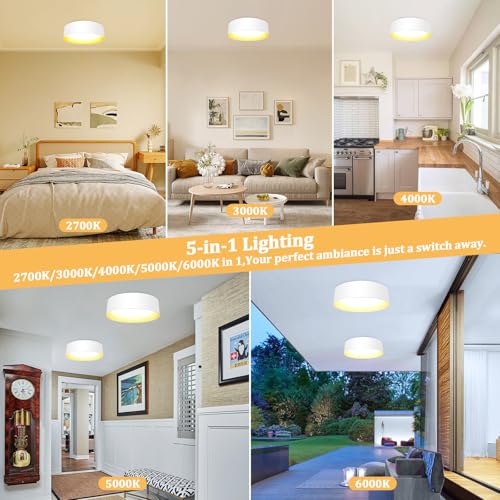 Image of Flush Mount Ceiling Light, 13in Modern Ceiling Light 5 Color Temperature