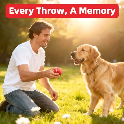 Image of Sunraymascota 6-Pack Tennis Balls for Dogs Fetch Toys,for Beginner Practice