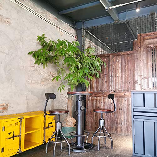 Diwhy Industrial Vintage Bar Stool,Kitchen Counter Height Adjustable Pipe Stool,Cast Iron Stool,Swivel Bar Stool With Backrest,Metal Stool,Silver,Fully Welded Set Of 2 (Wooden Top) #TOP5