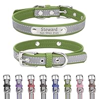 Collare Cane Personalizzato Con Targhetta - Riflettente, Regolabile Con Nome E Telefono - Foto 10