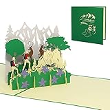 LINPopUp®, LIN17649, POP- UP Karten Berg, POP UP Karten wandeln Berge, 3D Grußkarten, 3D Karte, Klappkarte Geburtstagskarte, Reisegutschein, Jäger, Bergwandern, Wandergutschein, N377