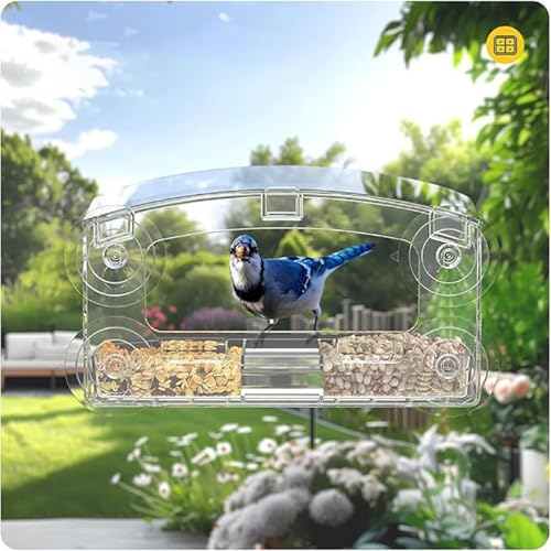 Mangeoire oiseaux ventouse transparente stable pour terrasse et appartement - 4