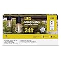 Feit Electric LED String Lights Amber 24 ft. 12 Lights