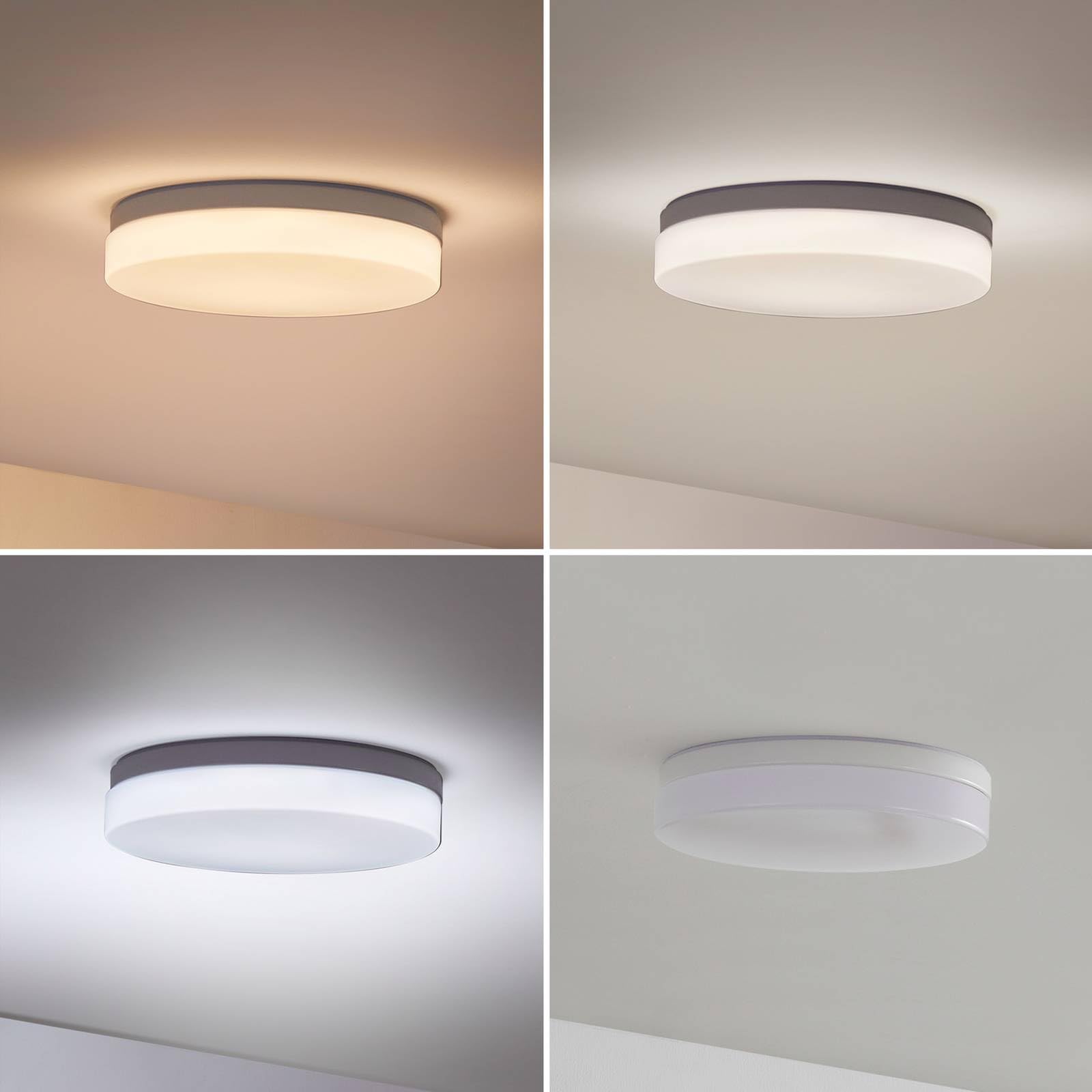 LED Deckenleuchte Wynion dimmbar (Modern) in Weiß (1 flammig,) - Lampe Deckenlampe Badezimmerleuchte