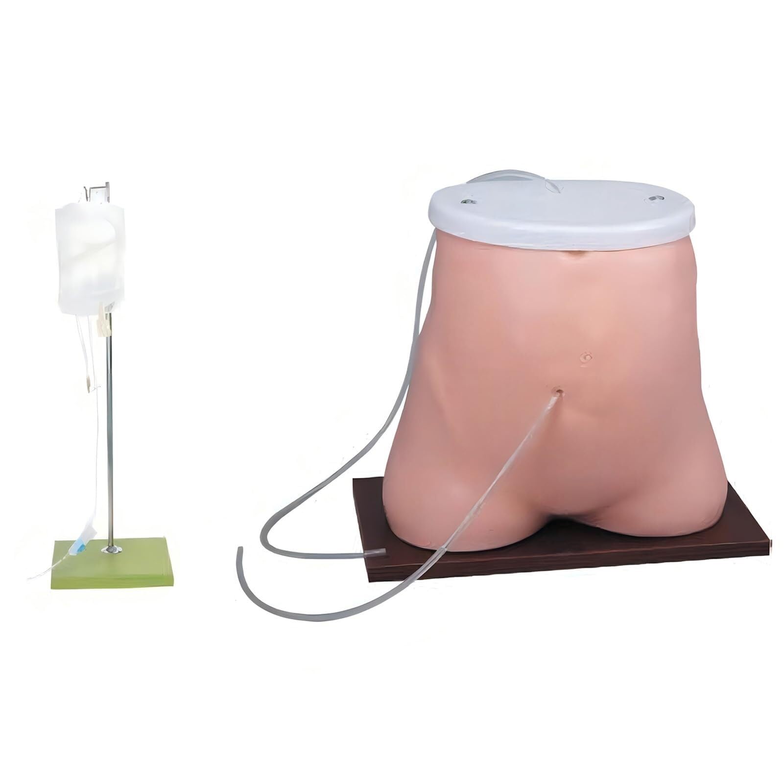 HEQIM Peritoneal Dialysis Model Human Abdomen Model, Medical Training peritoneal Dialysis Model, Suitable for Medical Education and Demonstration