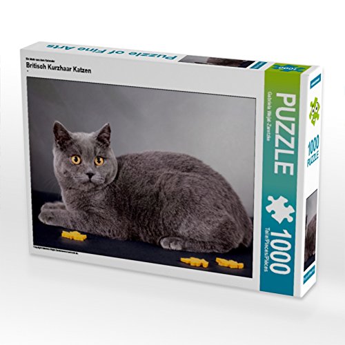 CALVENDO Puzzle 'Bärige Schmusetiger' – 1000 Teile, 64 X 48 Cm, Hochwertiges Foto-Puzzle