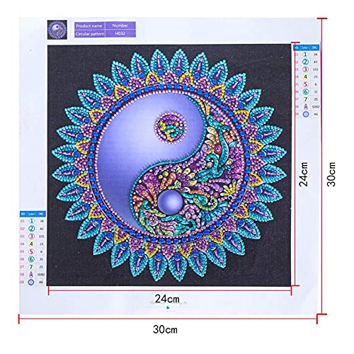 Diamond Painting DIY 5D forma speciale strass