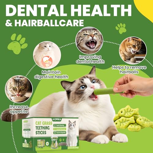 Cat Grass Sticks, 60 g Cat Grass Teething Stick and 50 g Cats Treats, Natural Dental Chews for Teeth Cleaning & Hairball Relief Teething Sticks for Indoor Cats Grain-Free - Image 4