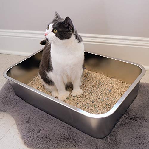 Arenero de Acero Inoxidable para Gatos XL miniatura 3