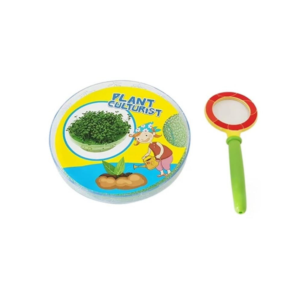 Kit de Observación de Germinación de Semillas Montessori | Caja Transparente para Ver el Crecimiento de Plantas con Lupa para Niños Juguete Educativo de Botánica STEM