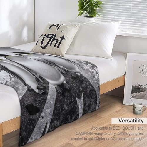Manta de pingüino transpirable de microfibra ligera para cama matrimonial de 180x200 7