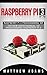 Raspberry Pi 3: Raspberry Pi 3 Programming 101 - The New User's Manual To Programming Raspberry Pi 3 (Raspberry Pi 3 Guide)