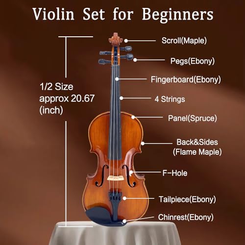 Professional Violin Beginner Full Size