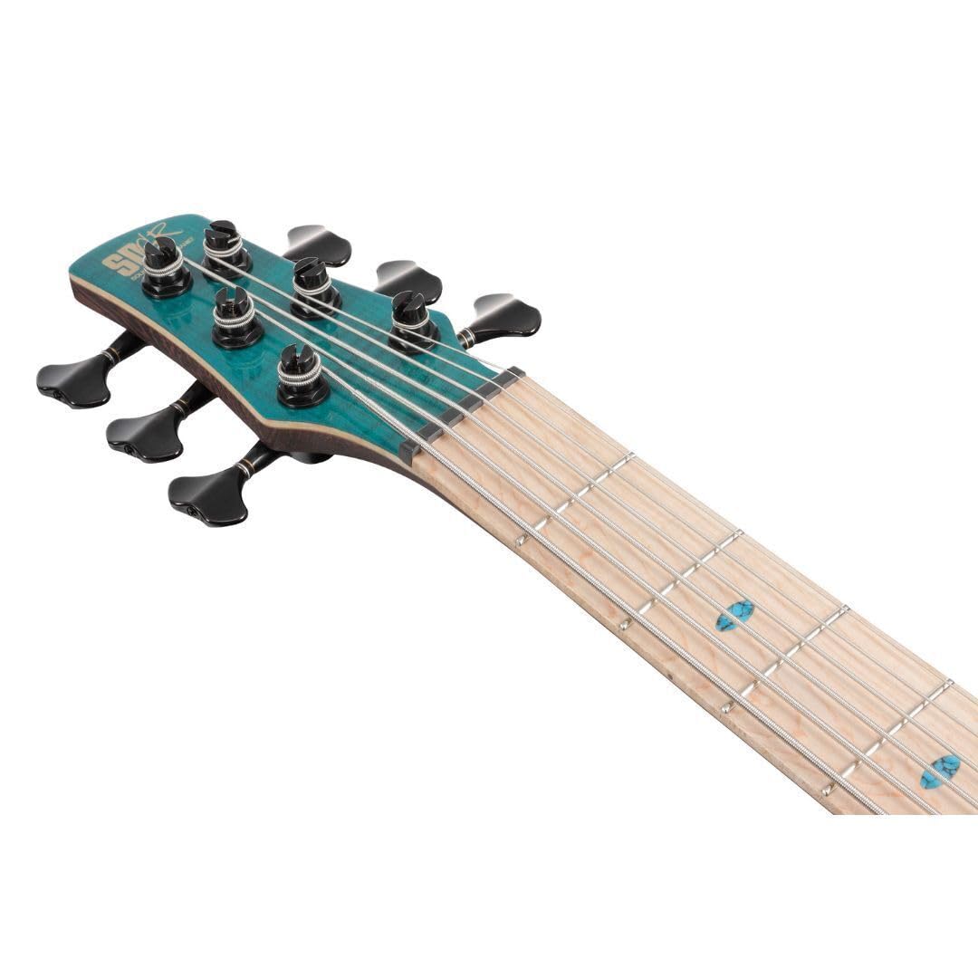 Amazon.co.jp: Ibanez/Premium Series SR1426B-CGL (Caribbean Green