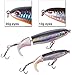 GUFIKY 2-Pack Whopper Popper Bass Lure 4.0 inch/0.5 oz with Rotating Spins Tail for Trout ，Walleye，Pike and Musky Topwater Floating Fishing Lures with Treble Hooks