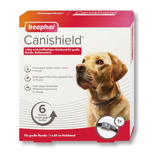 BEAPHAR - Canishield Halsband Für Große Hunde - Anhaltenden Schutz Gegen Flöhe, Zecken Und Sandmücken Für Bis Zu 6 Monate - 1 Stück