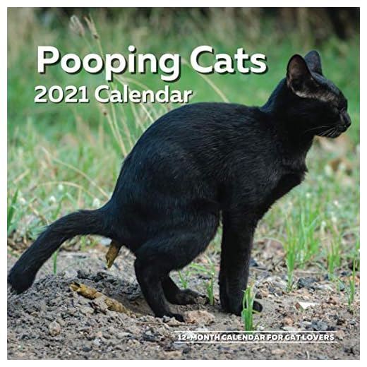 Pooping Cats Calendar 2021: Funny Cat Lover Wall Calendar Gag Joke Gift - Women, Men, Crazy Lady, Birthday, White Elephant Party, Secret Santa, Exchange, Stocking Filler, Christmas