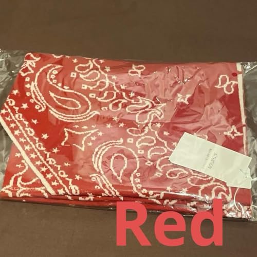 Gypsohila yCY[jbgXg[ bh Wv\tBA