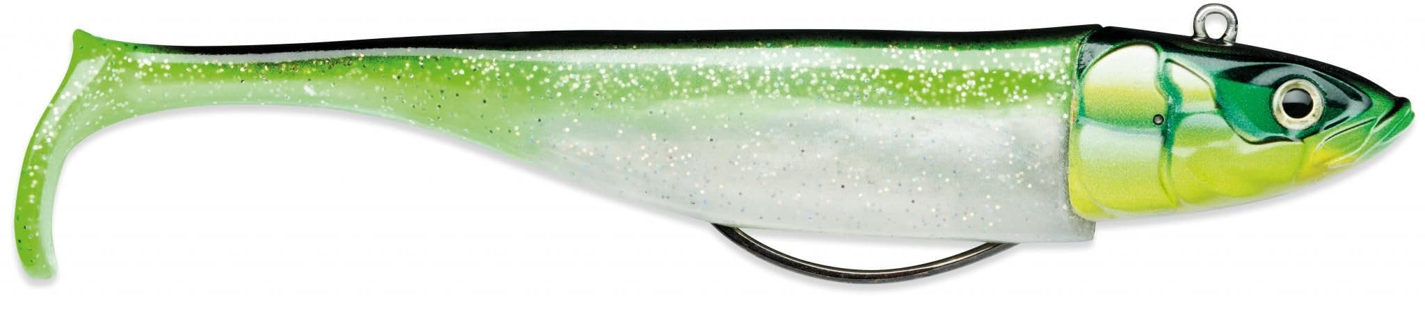 Biscay SHAD 17-107G CGR, Multiclolor