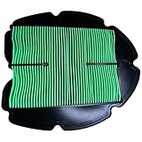 Prestazioni migliorate: ottimizzato per migliorare il flusso d'aria, questo filtro dell'aria migliora le prestazioni del motore e l'efficienza del carburante.