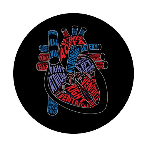 Parti del cuore umano. Regalo per cardiologi e