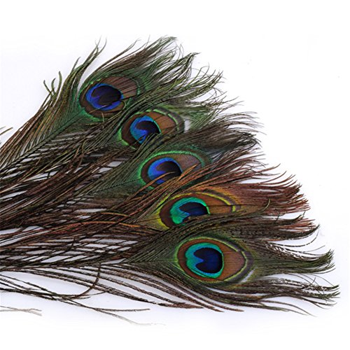 ERGEOB® Plumas del Pavo Real 25-30 cm / 10-12 Pulgadas de Longitud de Las Plumas Naturales para la Muestra de Artesanía Carnaval Rose Lunes de Halloween Diko etc.