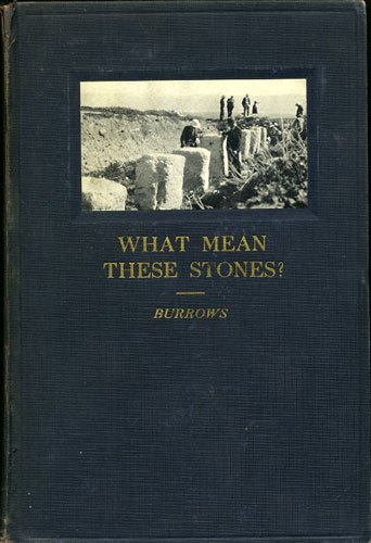 What Mean These Stones? The Significance of Arc... B001VGEC1K Book Cover