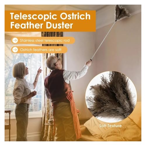 Plumeau en plumes d'autruche doux pour nettoyer les meubles précieux sans rayures