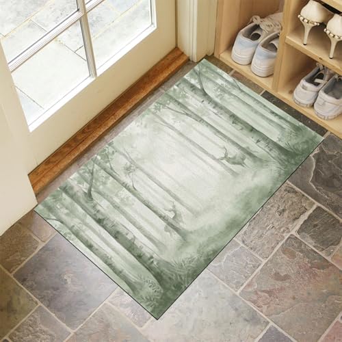 Tapis de sol antidérapant lavable pour stopper la boue des chaussures - 3