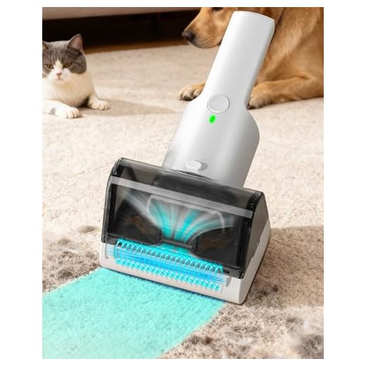 Electric Pet Hair Removal Vacuum Tool