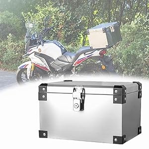 51mn3dyj2ml. sl500 . ss300