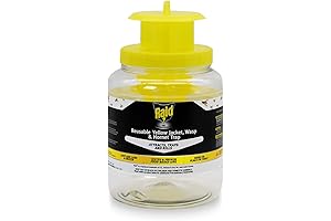 Raid Indoor Wasp Trap for Effective Pest Control