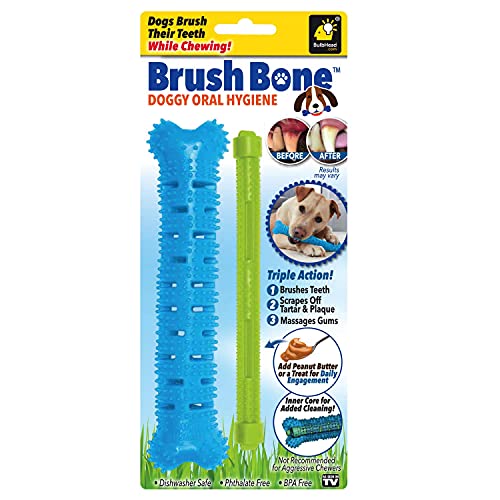 BulbHead BrushBone Toothbrush, Dogs Chewing, Plaque and Tartar Remover for Teeth, Works 3 Ways to Clean While They Play, Invented by a Dentist & His Hygienist Wife, 1 Count (Pack of 1), Brush Bone