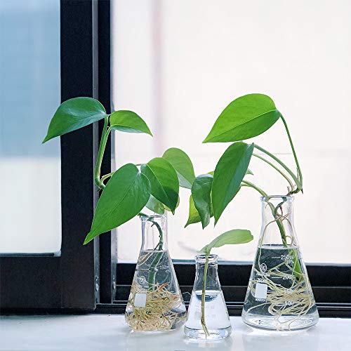 Glass Erlenmeyer Flask Set 50Ml 150Ml And 250Ml, Narrow Mouth Graduated Flasks, 3.3 Borosilicate Glass, Ideal For Laboratory, Classroom Or Home Use, Huaou #TOP4