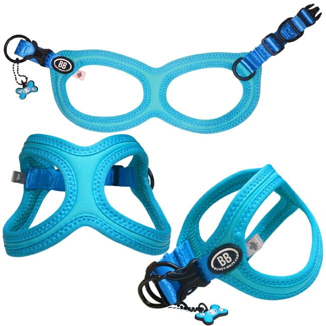 バディーベルトとリードセット　3.5 3.5号 BB SPORT (BBスポーツ) Vibrant BUDDY BELTS（バディー