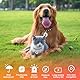 Rppiup GPS Tracker für Katzen Hunde, Mini GPS Tracker Hund Katze Ohne ABO, Wasserdicht Tracker Hund, Katzen Tracker, Live-Ortung, Haustier Tracker GPS für Katzen, Hunde, Kofferraum, Rucksack, Model A
