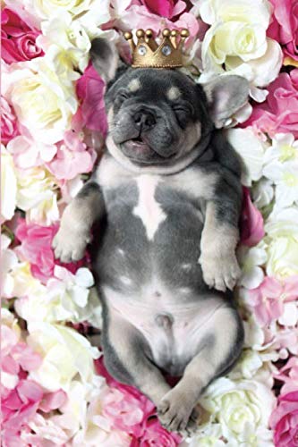 Meine TO DO Liste: Bully Welpe - Softcover, 120 Seiten mit Vorlagen zum ausfüllen (TO DO Liste - viele weitere Cover mit diversen Tieren)