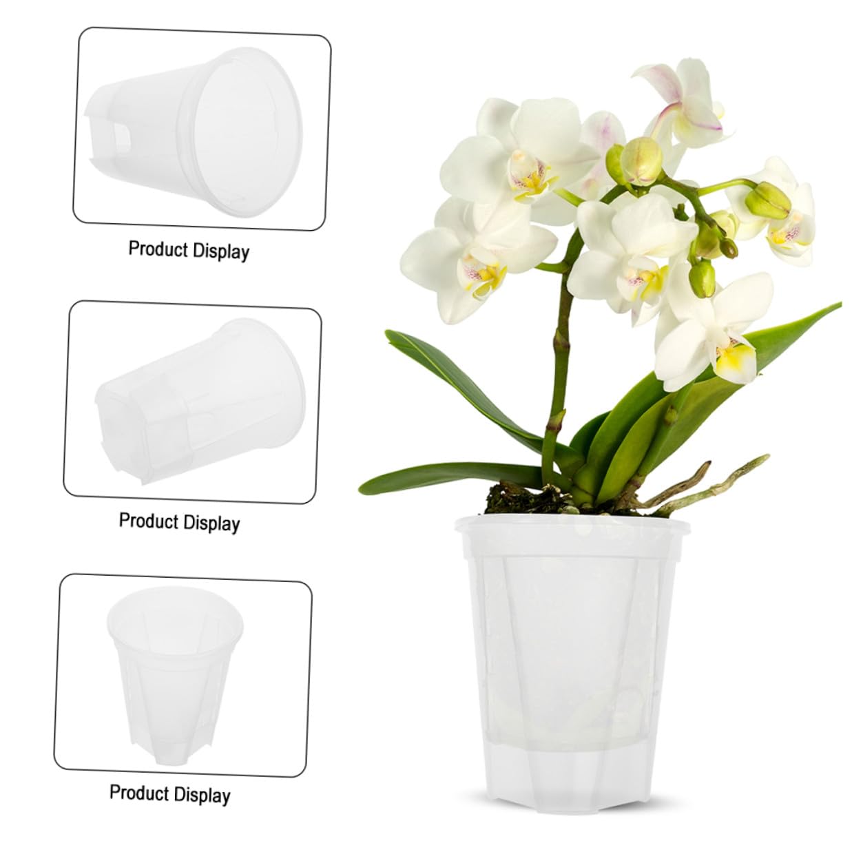 Blumentöpfe Selbstbewässernde aus PP für Orchideen