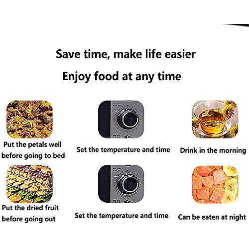 ZXLLAFT 7 Tablett Dörrautomaten Lebensmittel 700 W Edelstahl-dörrgerät Trockner für Trockenfleisch Kräuter Fleisch Rindfleisch Gemüse, Digital Einstellbarer Timer und Temperaturregelung,220V – Bild 5