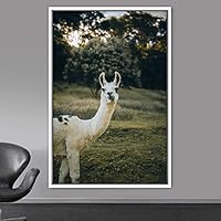Framed Canvas Wall Art Llama Animals Camels Expressive Farmhouse/Country Living Room Multicolor Photography - 16x24 inches