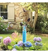 Amazon.com : WONDER GARDEN Rain Gauge Outdoor,Freeze Proof Rain