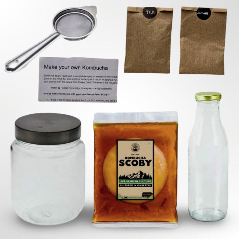Brew Your Own Kombucha Starter Kit | Complete kit with Kombucha SCOBY, Starter Tea, Loose Leaf Tea, Sugar,1 Glass fermentation Jar, and 1 Stainless Steel Strainer, 1 Glass Bottle, and Instruction Manual