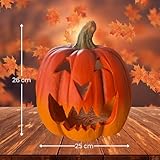 Zoom IMG-2 matches21 home hobby lanterna xxl Zoom IMG-2 matches21 home hobby lanterna xxl