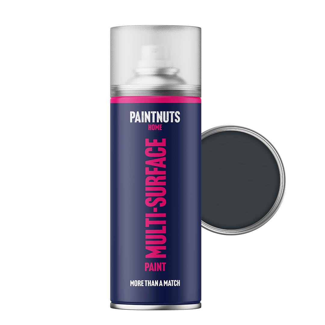 Paintnuts Grey (RAL-7016) Rapid Dry Metal Paint, Satin Finish 400ml Aerosol