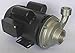 Dayton 4JMX4 Pump, 1 1/2 HP, 115/230V, 2 Amp