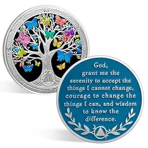 1 Year Sobriety Coin One Year Sobriety Chip Achievement Medallions AA Coins Sobriety Gifts for Men Women Butterfly Sober Token Alcoholics Anonymous Gift with Capsule, Display & Card