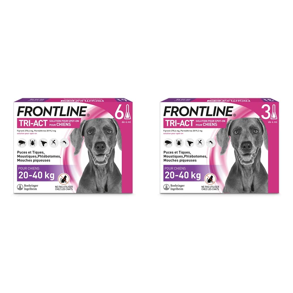 Frontline Combo Chat - Anti-puces et Anti-tiques pour Chat 20-40kg - 6 et 3 pipettes