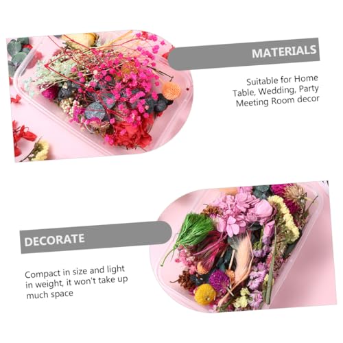 6 cajas flores secas naturales para manualidades miniatura 7