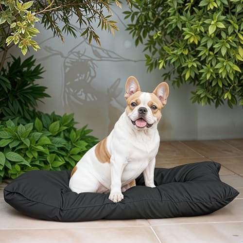 Italian Bed Linen Maxy - Cojín Acolchado para Perros (60 x 100 cm), Color Gris